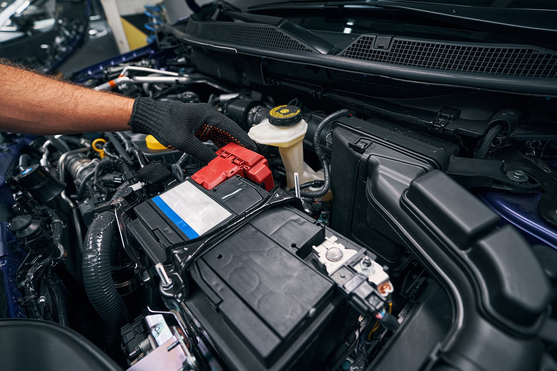 Vehicle repairs Shirley